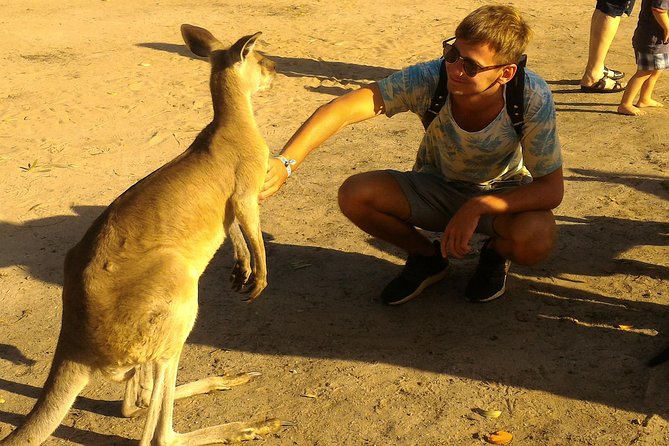 Scooter Wildlife & Sunset Tour - Who will enjoy this ride most?