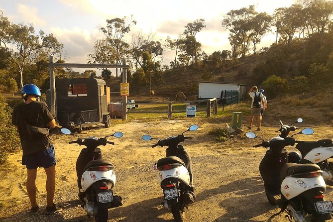 Self Guided Agnes to 1770 Scooter Hire - Beaches, wildlife, and the pleasure of slowing down