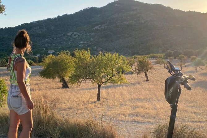 Self Guided E Scooter Brunch Tour in Mallorca Countryside - Key points at a glance