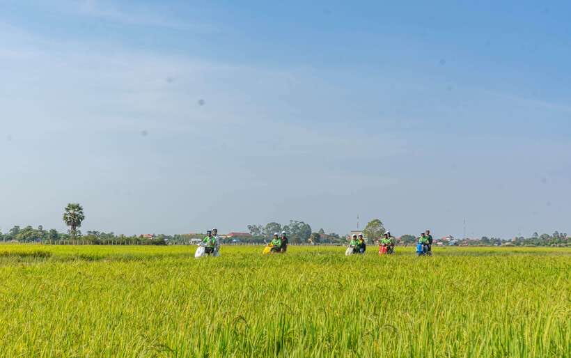 Siem Reap Countryside Sunset Vespa Tour or Tuk Tuk - Phnom Krom and the sunset finish