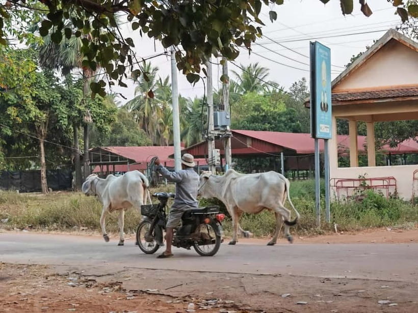 Siem Reap: Monk Blessings and Village Life Scooter Tour - Who should book this scooter tour