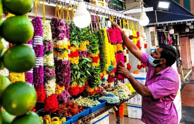 Singapore: Street Food & Ethnic Quarters Kick Scooter Tour - From Little India to a plate of dosai