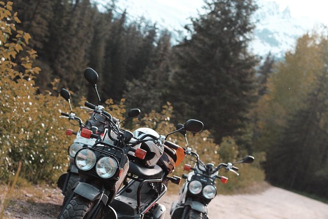 Skagway Scooter Gold Rush Adventure - Jewell Gardens and the final part of the route