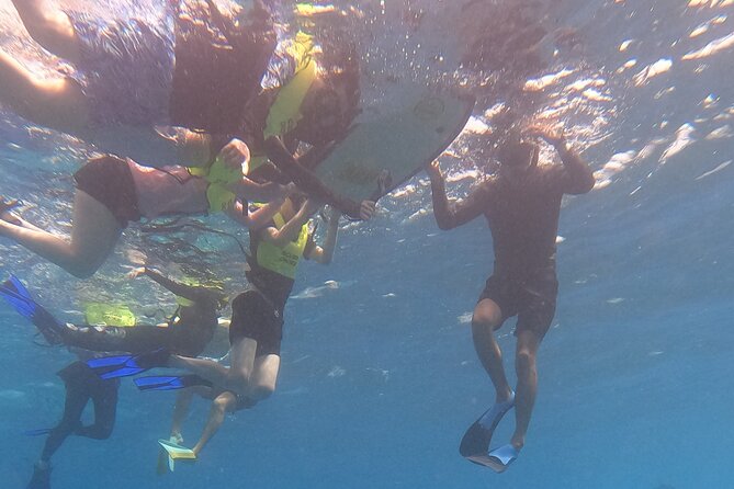 Snorkeling with Turtle/Water Scooter/Paddleboard Adventures Oahu - Three ways to enjoy the Pacific near Waikiki