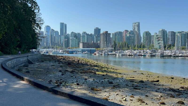 Stanley Park EUC & E-scooters loop tour - Who will enjoy this ride most?