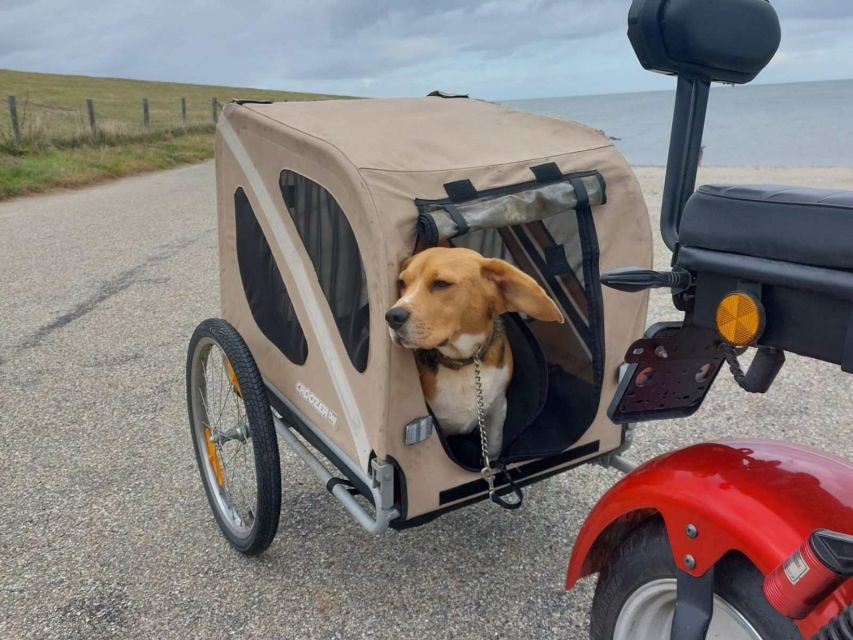 Texel: E-Scooter Rental - Why an electric scooter suits Texel