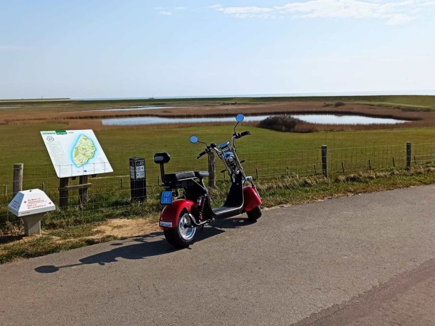 Texel: E-Scooter Rental - A sensible three-hour route toward the lighthouse