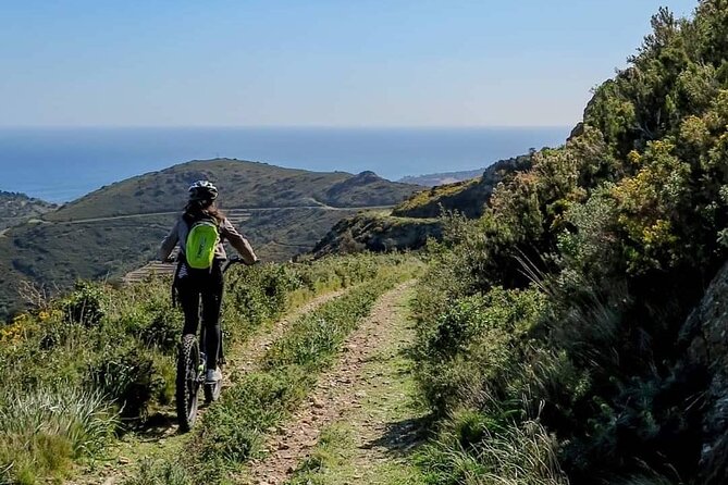 The Collioure Tops on Electric Scooters - What the guide adds to the ride