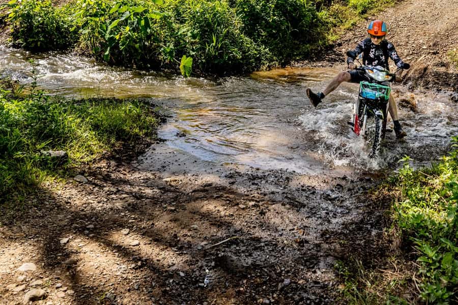 The REAL Thailand on a scooter. Check reviews !! - Lunch with elephants