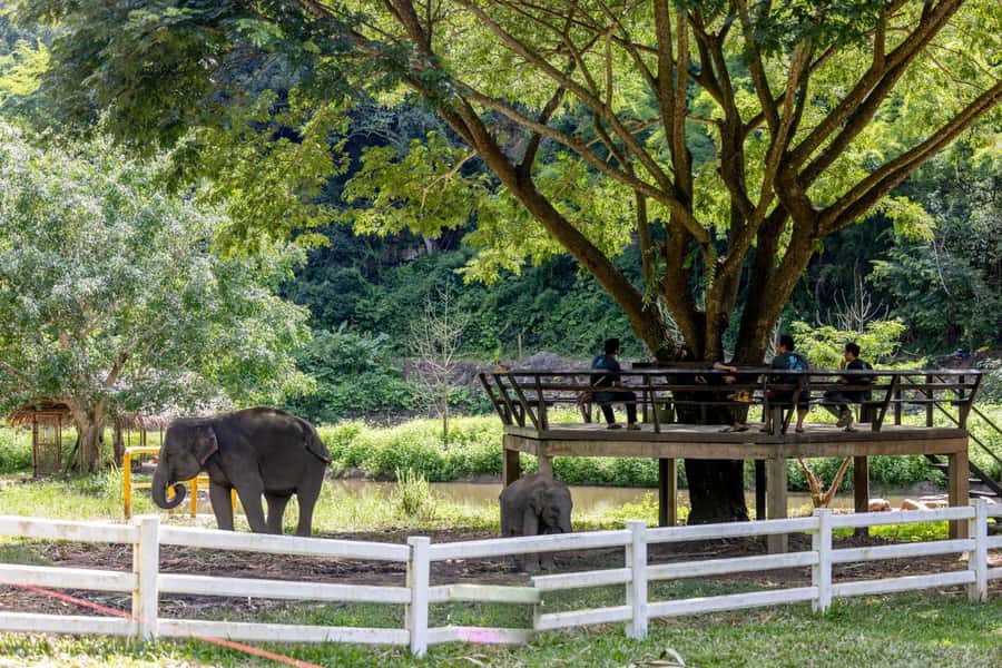 The REAL Thailand on a scooter. Check reviews !! - What the $125 price really covers