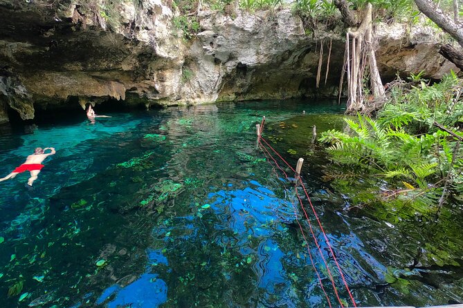 Tulum Area Guided Scooter Tour to 3 Cenote's, Snorkel/Swim & Local Lunch - Gran Cenote: the first two-hour stop