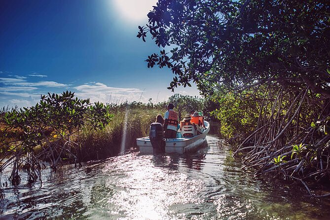 Tulum Guided Scooter Tour, Muyil Ruins, Boat Eco, Float Down Mayan Canals Lunch - Cruising the Sian Ka’an lagoons