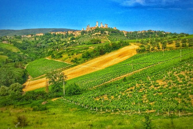 Tuscany Vespa Tour from Florence with Wine Tasting - Who will enjoy this day most
