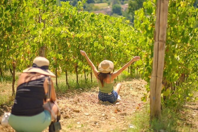 Tuscany Vespa Tours Through the Hills of Chianti - Wine and olive oil tasting