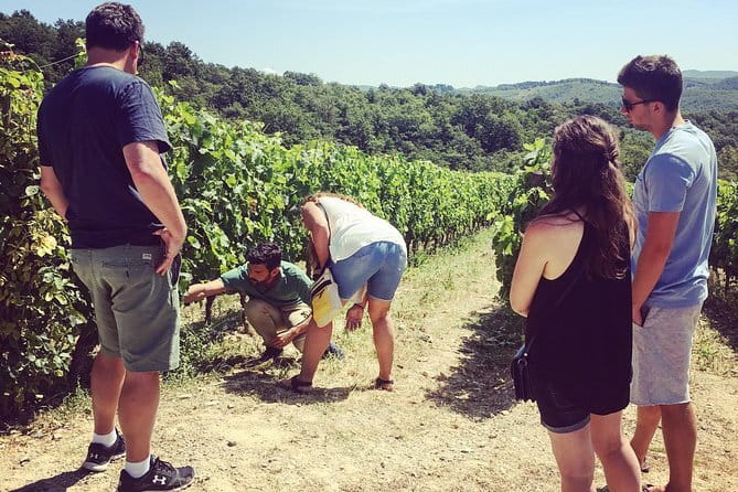 Tuscany Vespa Tours Through the Hills of Chianti - Who should book this experience