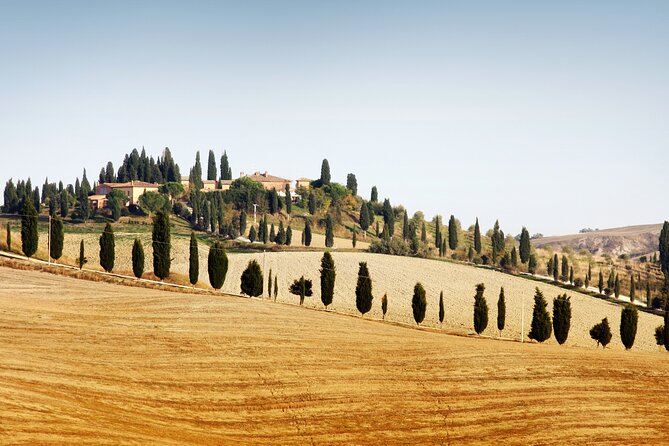 Vespa Tour with Lunch&Chianti Winery from Siena - A Tuscan ride built around the road